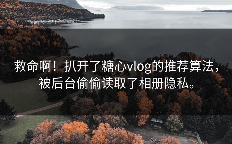 救命啊!扒开了糖心vlog的推荐算法,被后台偷偷读取了相册隐私。 救命啊!扒开了糖心vlog的推荐算法,被后台偷偷读取了相册隐私。