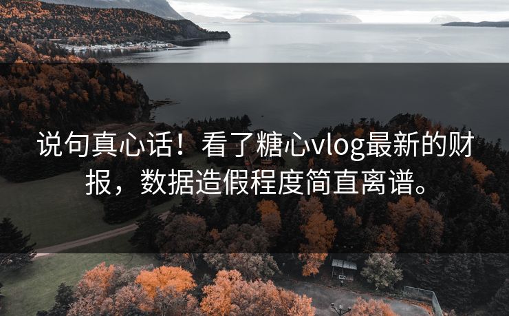 说句真心话!看了糖心vlog最新的财报,数据造假程度简直离谱。 说句真心话!看了糖心vlog最新的财报,数据造假程度简直离谱。