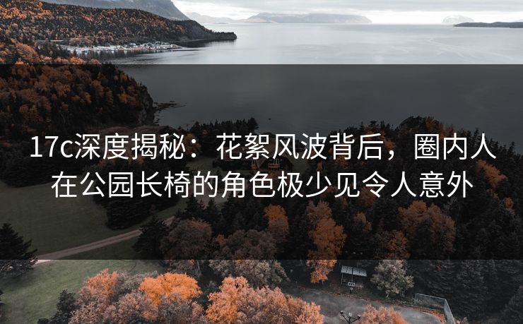 17c深度揭秘:花絮风波背后,圈内人在公园长椅的角色极少见令人意外